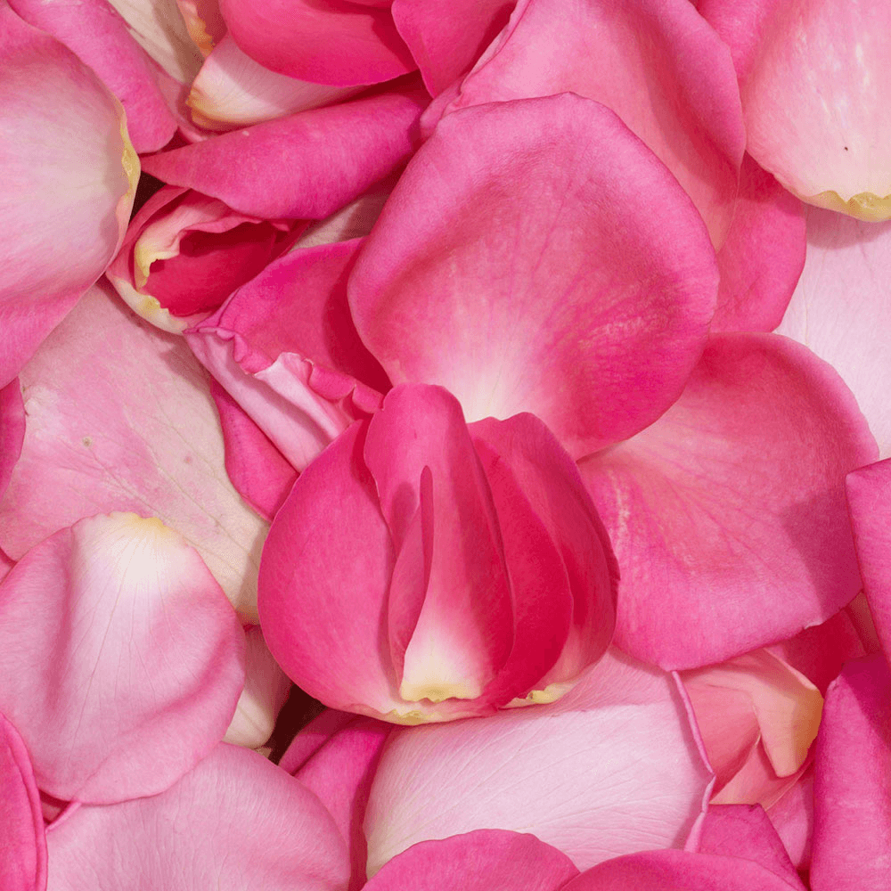 Bulk Rose Petals