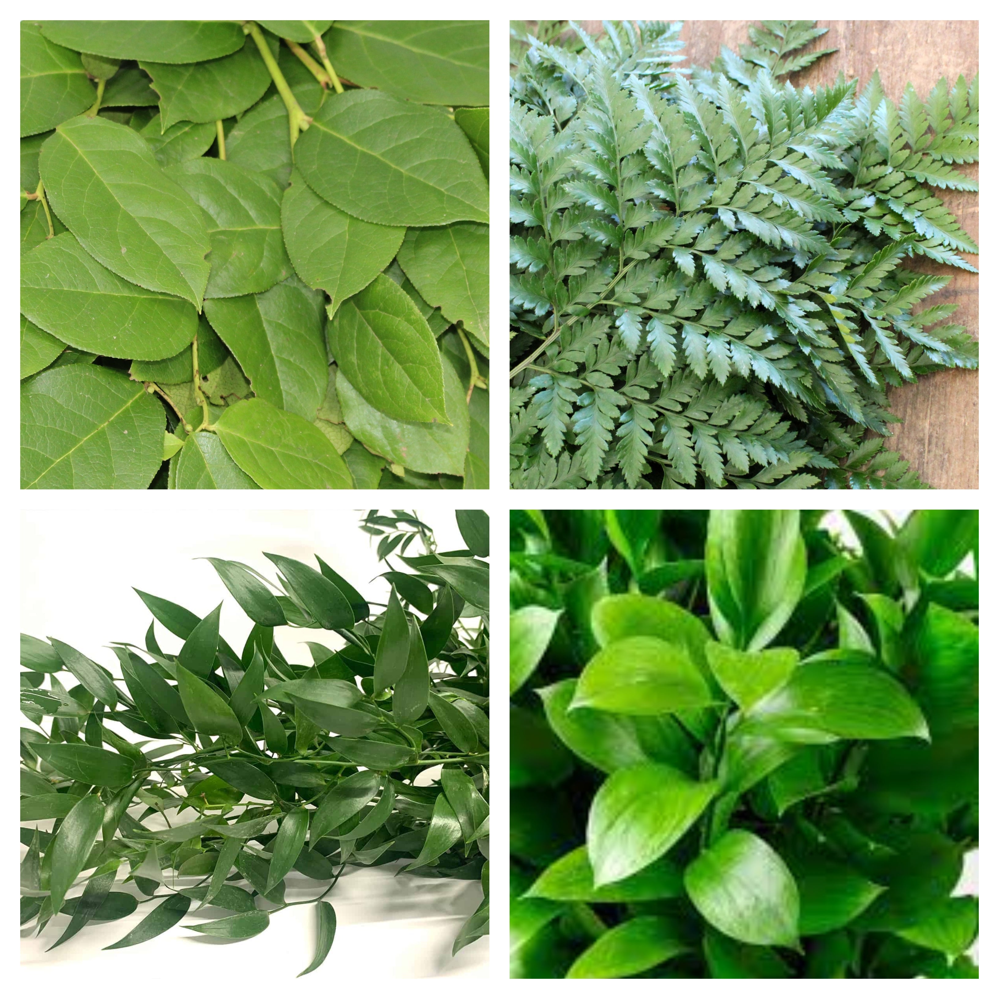 Classic Greenery Bulk Bundle