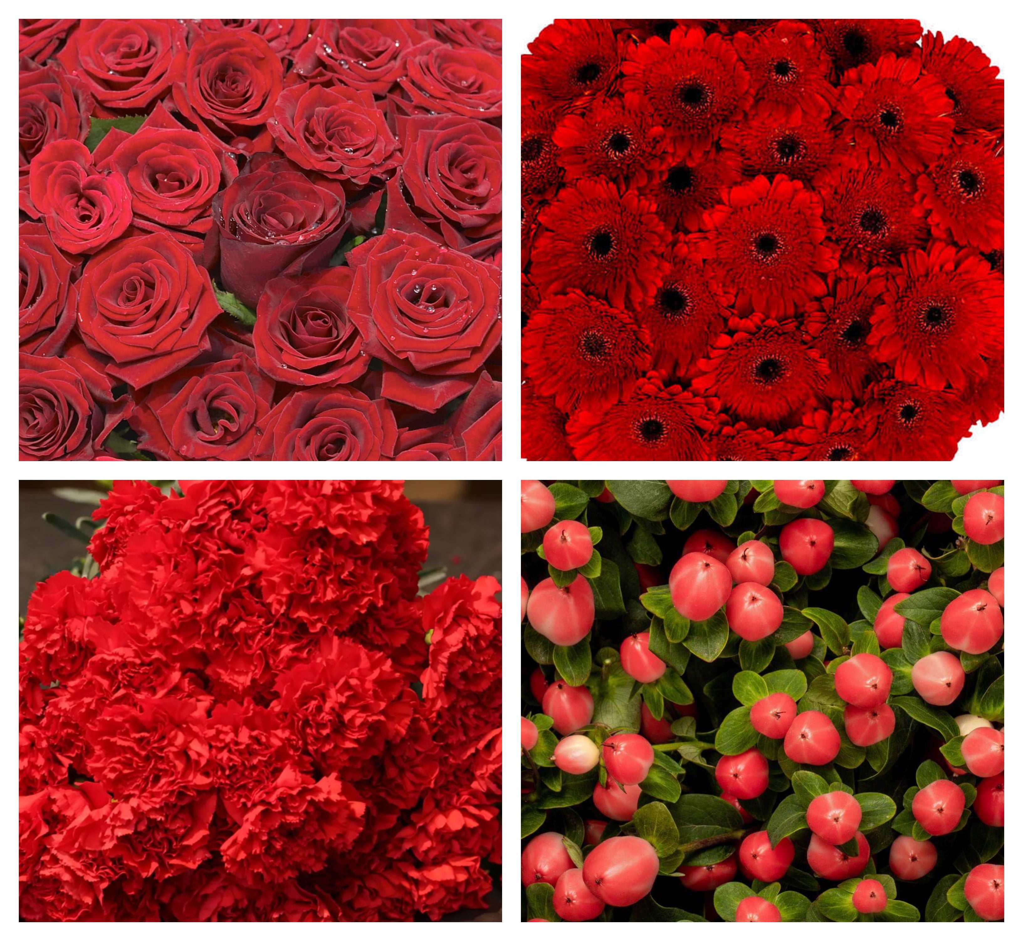 DIY Red Bulk Flower Package