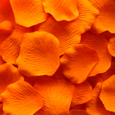 Fresh Orange Rose Petals