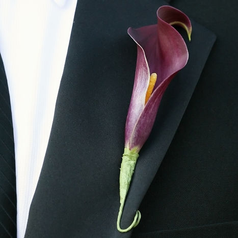 Dark Purple Mini Calla Boutonniere