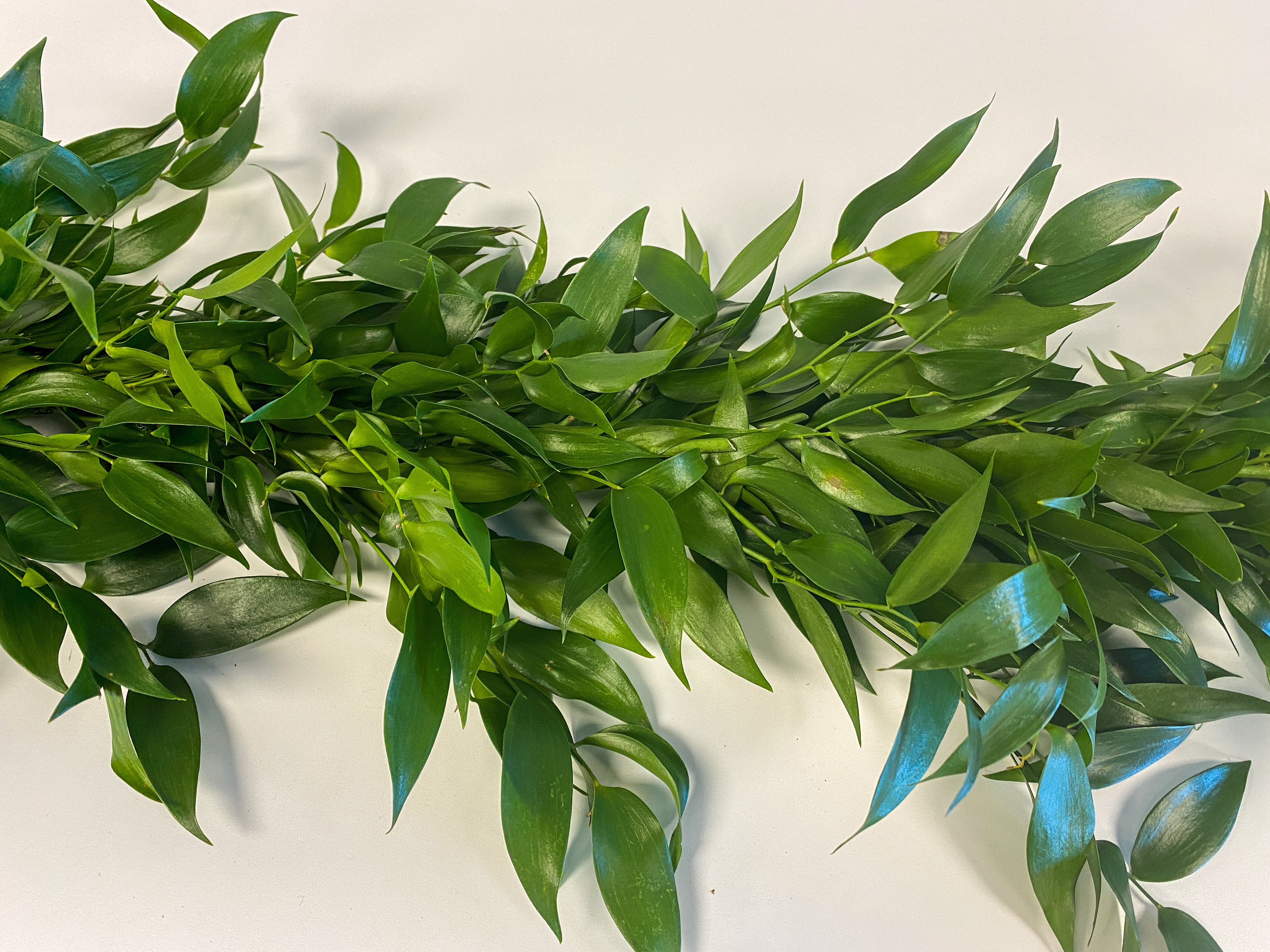 Simply Ruscus Garland